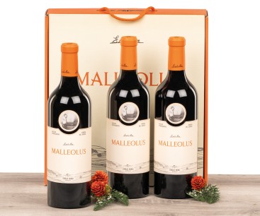 Estuche Vino Malleolus 6022