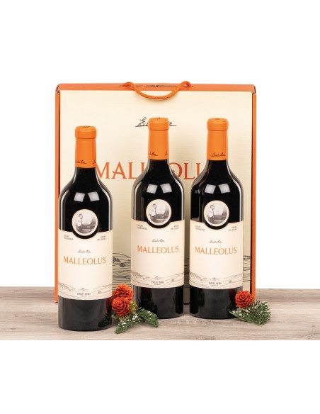 Estuche Vino Malleolus 6022