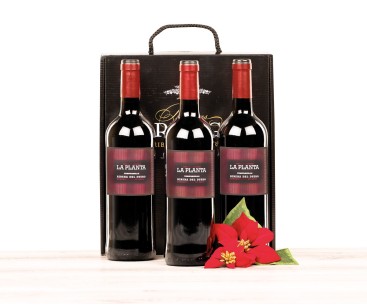 Estuche lujo con 3 botellas de vino Ribera del Duero La Planta Arzuaga