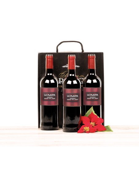 Estuche lujo con 3 botellas de vino Ribera del Duero La Planta Arzuaga