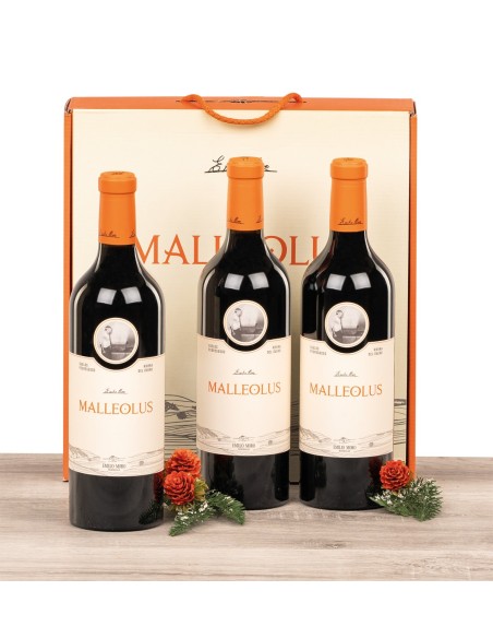 Estuche con 3 botellas de vino Ribera Malleolus Emilio Moro